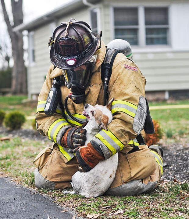 firefighters-rescuing-animals-saving-pets-51-5729f623bd9e6__605