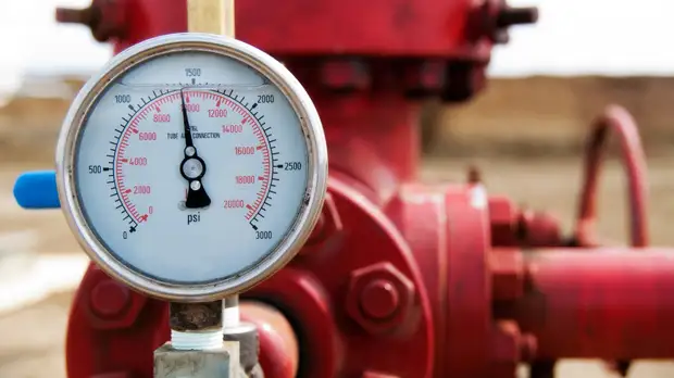 Помощник Шольца: Германии нужно несколько месяцев, чтобы отказаться от нефти из России