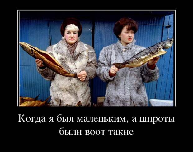 Когда я был маленький, а шпроты были воот такие демотиватор, юмор