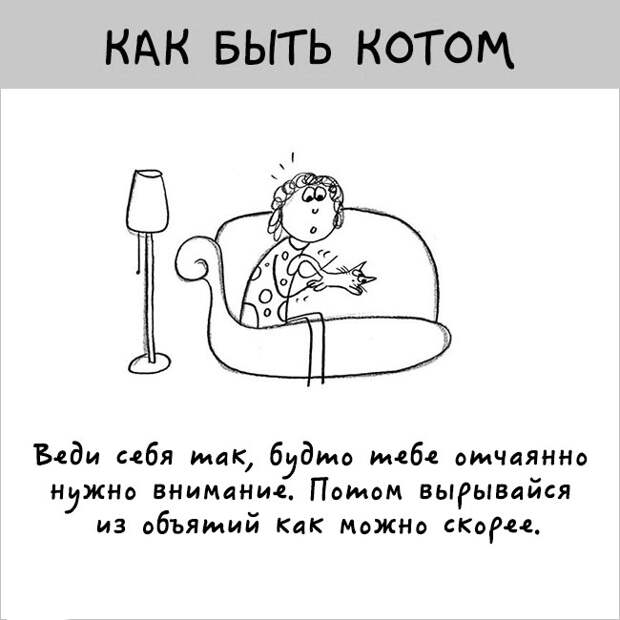 как правильно быть котом