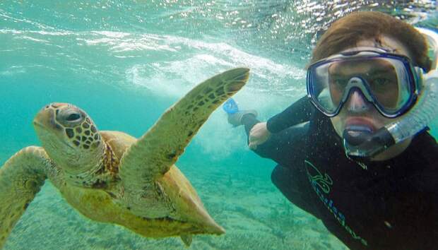 5510760-880-1450945704-funny-animal-selfies-allan-dixon-16