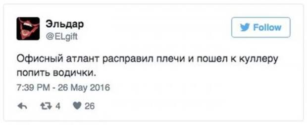 Прикольные картинки и забавные фото (33 шт)