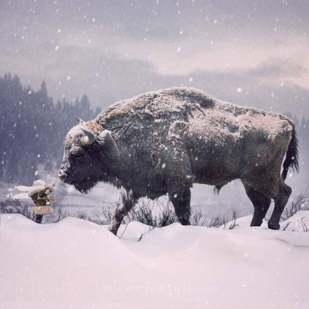 Волшебная зима. Фотохудожник Караш Йонуц (Caras Ionut).