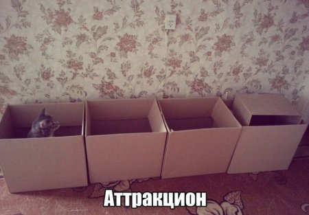 Посмеемся?