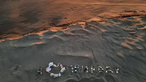 Подмосковье вошло в тройку самых активных участников конкурса «Экология — дело каждого»