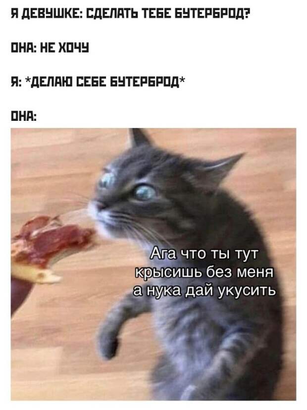 Смешные картинки 10 сентября 2021 года
