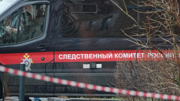 По факту крушения поезда в Ульяновской области возбудили уголовное дело