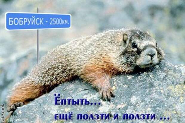 Давайте улыбаться вместе! :) (31повод)