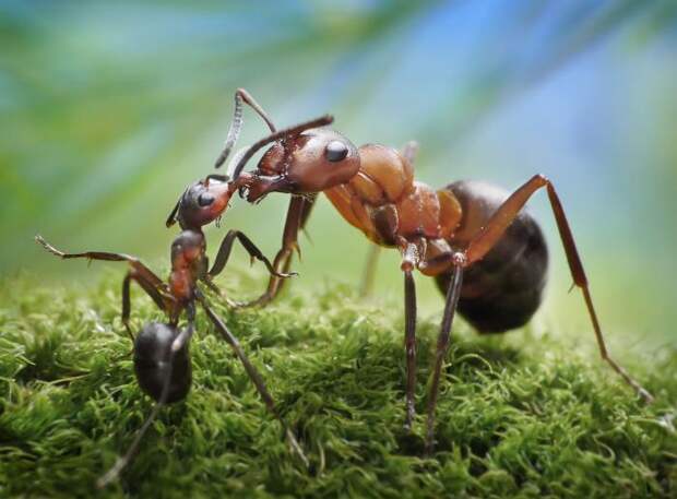 Фото: Shutterstock