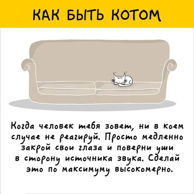 как правильно быть котом
