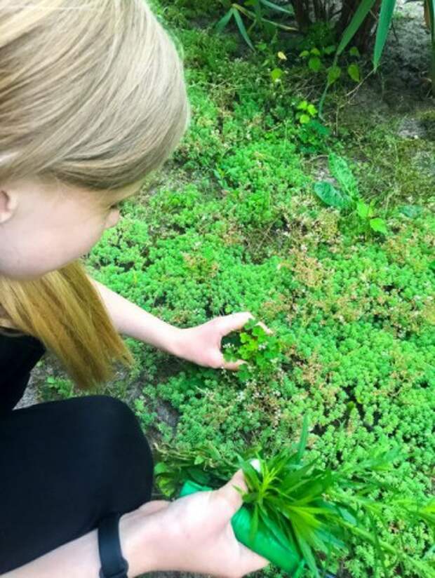 11.07.2022 Отряд ´Экологический´.