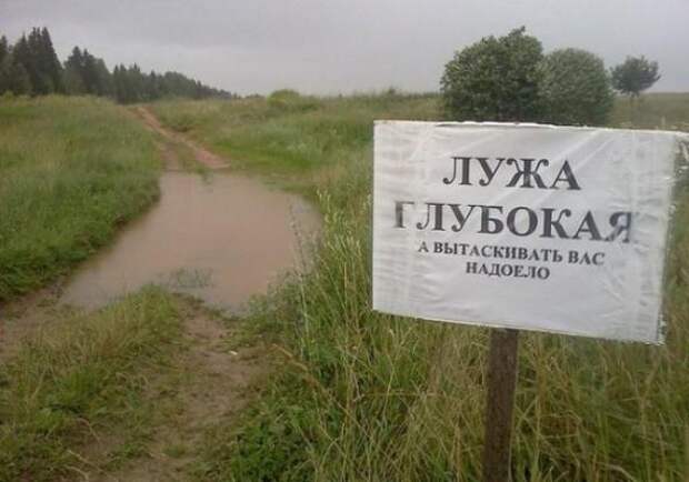 Объявления, мимо которых невозможно пройти.
