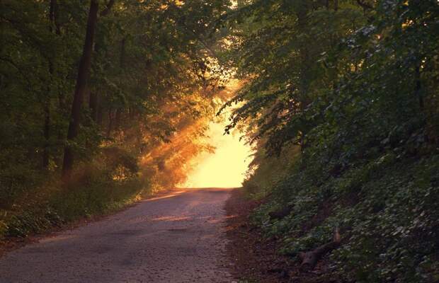 sunlight-166733_1920 alt