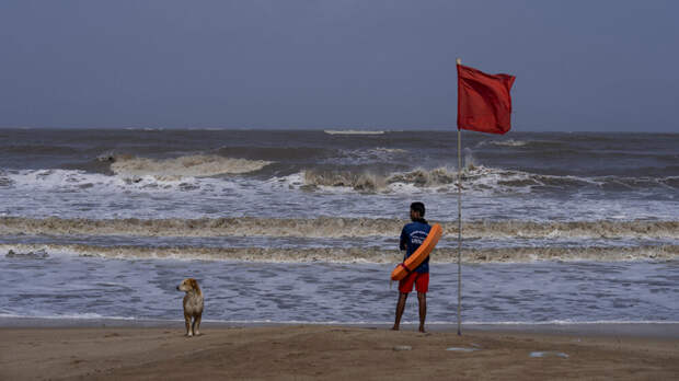 NOS: ученые из Университета Вагенингена и Deltares подняли уровень моря на 30 см