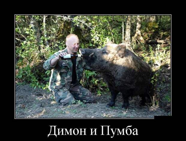 Демотиваторы