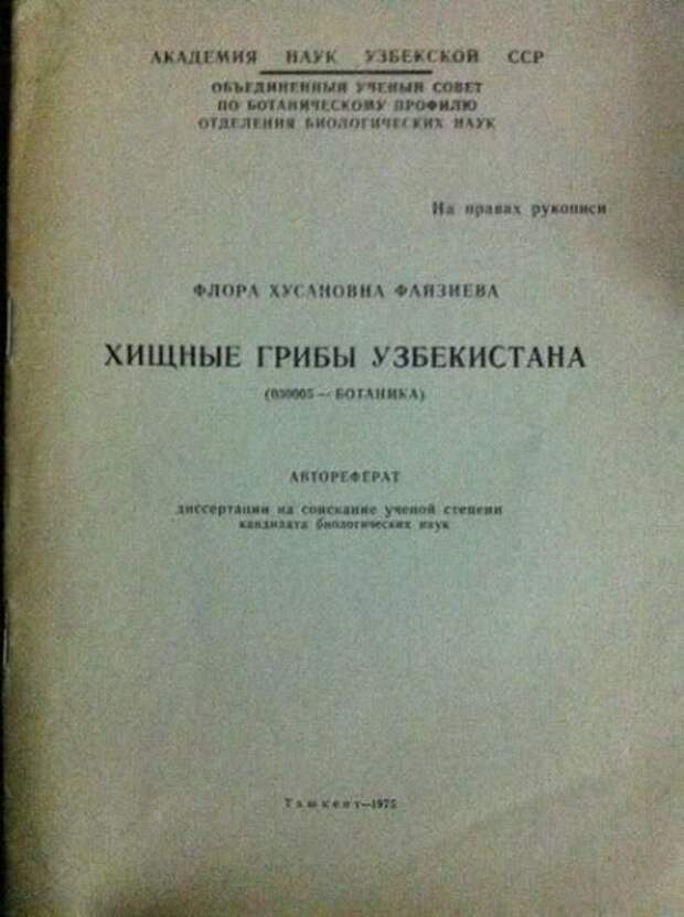 Картинки. Картинки.