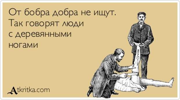 От бобра добра не ищут. Так говорят люди с деревянными ногами