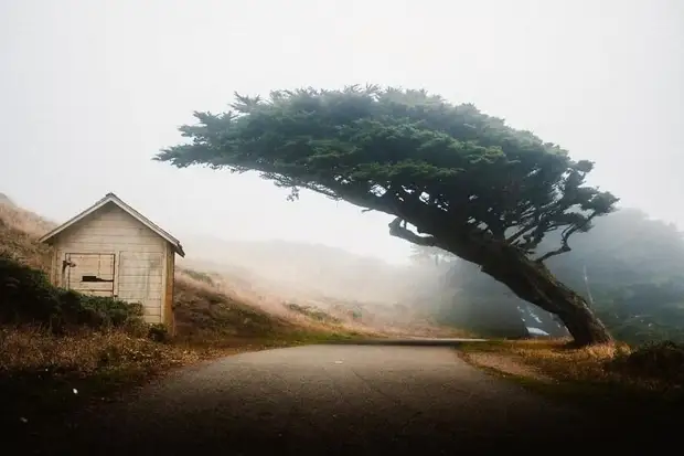 20 фото, сделанные обычными людьми, но выглядящие как работы профессионалов