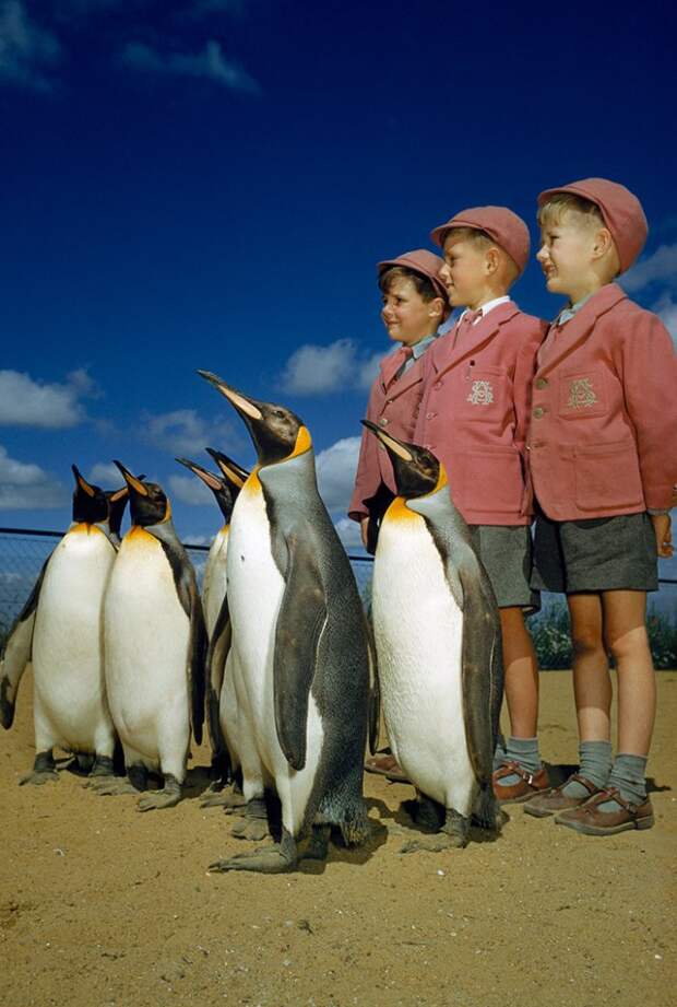 Неопубликованные фото National Geographic