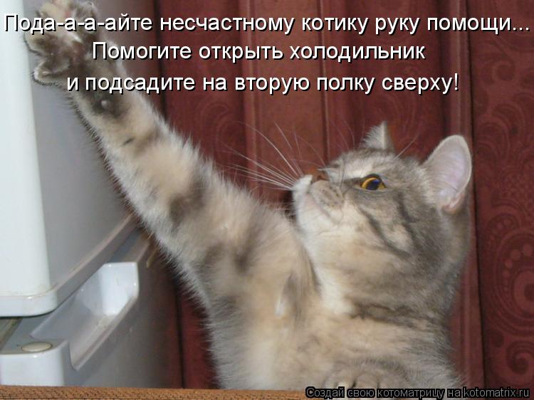 Котоматрица: Пода-а-а-айте несчастному котику руку помощи... Помогите открыть холодильник и подсадите на вторую полку сверху!