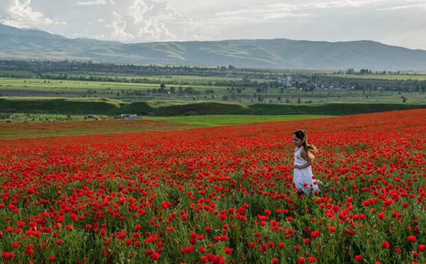 8. Жители столицы традиционно в это время года выезжают любоваться красотами природы art, Кыргызстан, пейзаж, ссср, факты