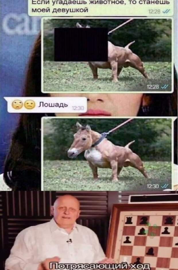 Весёлые