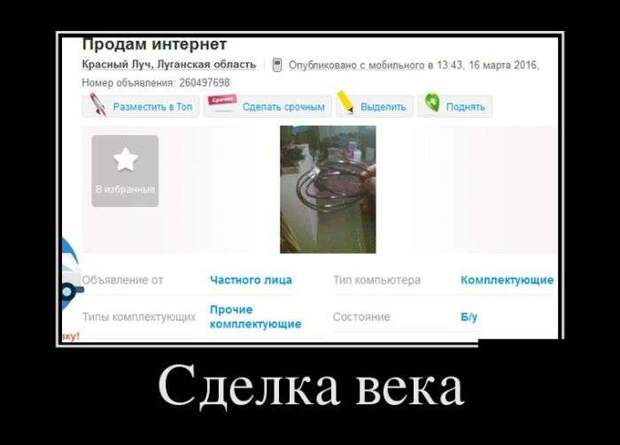Демотивируемся! Демотивируемся!