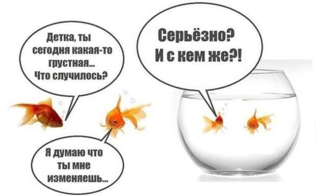 Английская игра и шутка Дарвина