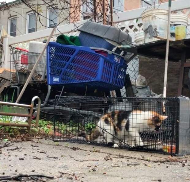 http://top-funnyy.ru/wp-content/uploads/2018/05/original-1-119.jpg
