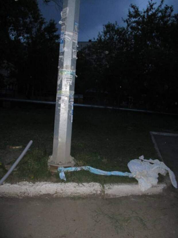 В Челябинске для спасения застрявшего котенка демонтировали фонарный столб