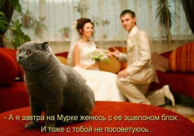 Мысли вслух :)