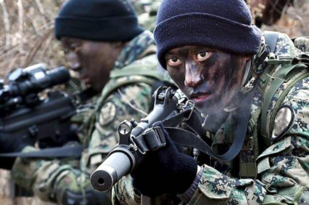 «Северокорейский спецназ нас потряс. А Иран охотился за самолётом Зеленского»: эксклюзивные подробности от украинских полковников и генералов