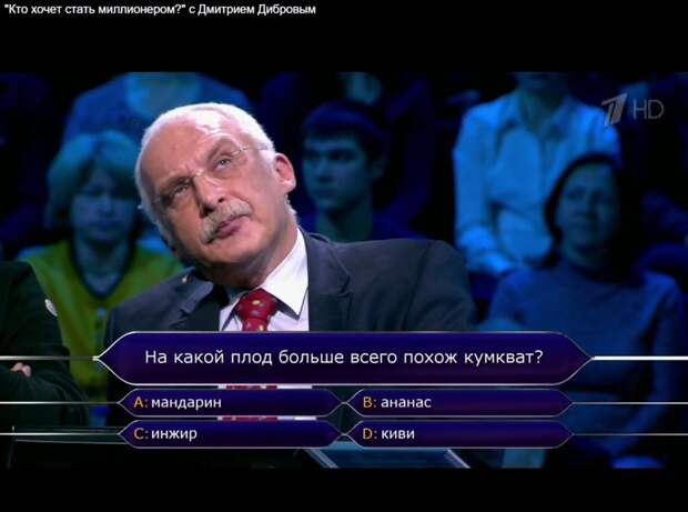 Игры разные, но взгляд один и тот же Игры разные, но взгляд один и тот же привычка, прикол, юмор