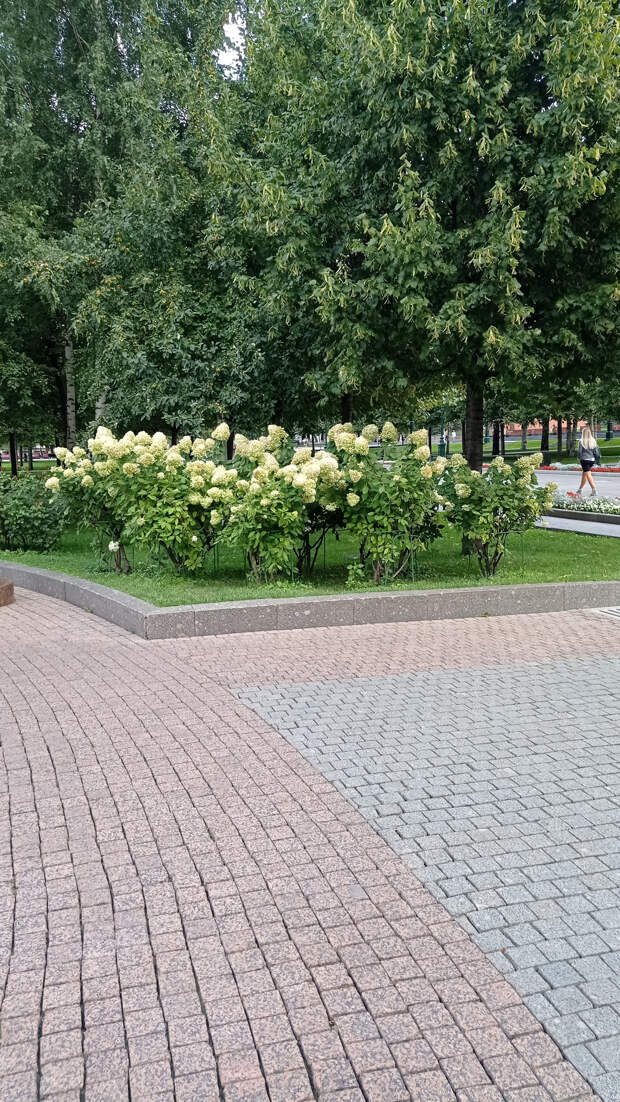 Прогулка по Александровскому саду.