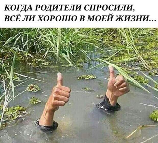 Подборка прикольных фото №1408 (100 фото)