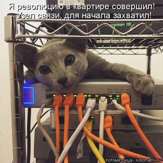Забавные котоматрицы