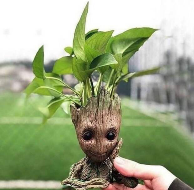 Забавные штучки для удобной жизни