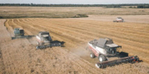 В регионе стартовала уборочная кампания