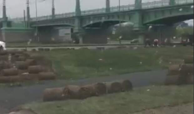 Рулонный газон в Питере убрали после открытия путепровода Бегловым и Белозеровым