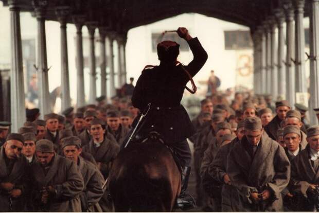 сибирский цирюльник.jpg