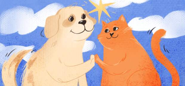 Что такое «новое счастье»? Как к нему прийти?