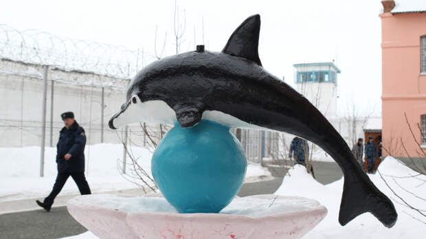 Жизнь за решеткой: как устроен быт заключенных в «Черном дельфине»