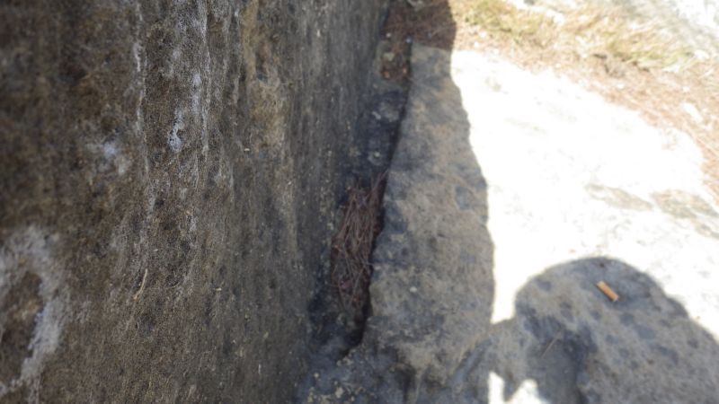 MAIO1548.JPG MAIO1548.JPG