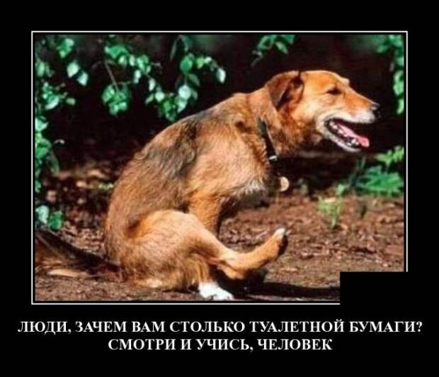 www.vsyako.net