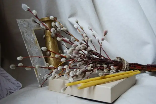 ВЕРБА: ЦЕЛЕБНЫЕ СВОЙСТВА, КАК СДЕЛАТЬ ОБЕРЕГ.