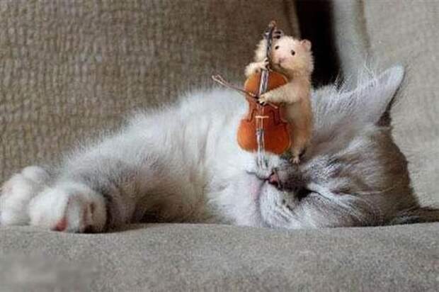 Давайте улыбаться вместе :)