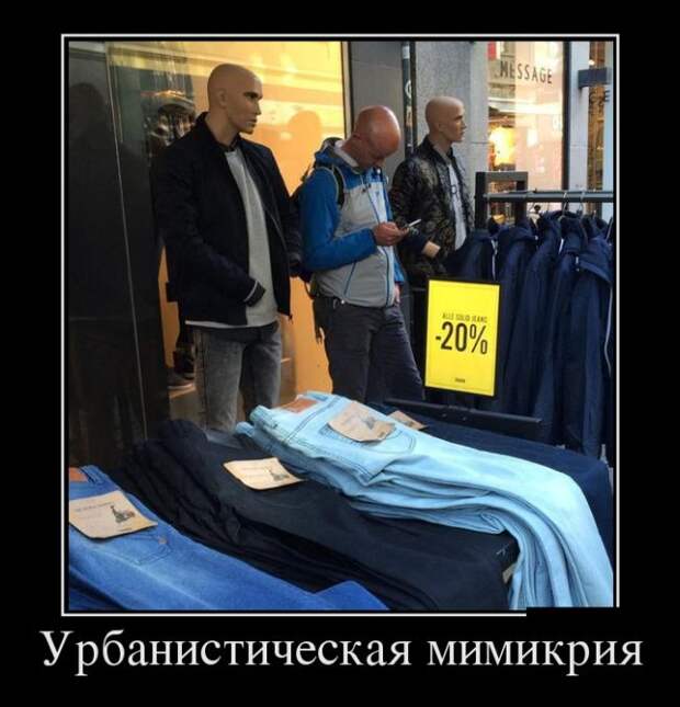 Демотиваторы (30 фото)