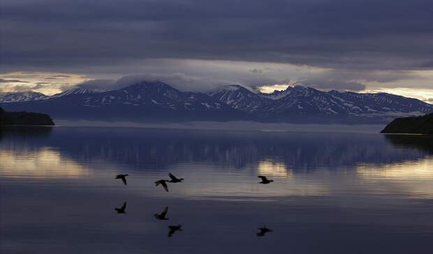 Ducks over Kronotskoye Lake