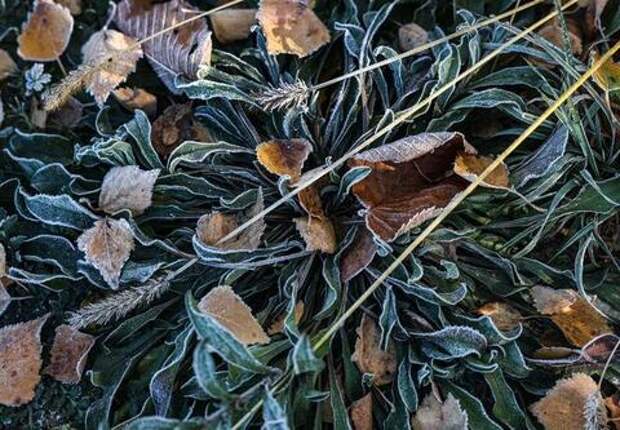 Зима возвращается: синоптик Шувалов предупредил о мощной волне холода, которая накроет юг России