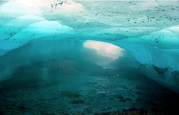 В Якутии из ледника выползло древнее живое существо